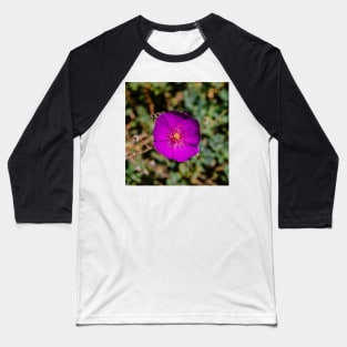 Purple and Square Baseball T-Shirt